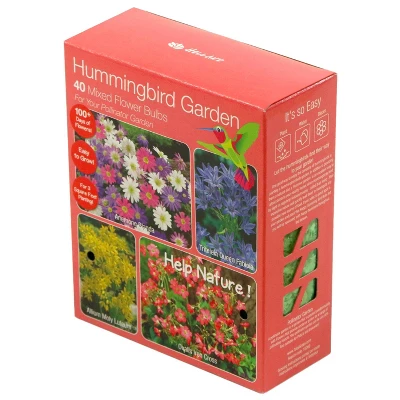 40pk Hummingbird Garden Nature Friendly Collection Assorted Bulbs - National Plant Network 4 40pk Hummingbird Garden Nature Friendly Collection Assorted Bulbs - National Plant Network - Image 2