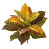 Nearly Natural 21-in Garden Croton Artificial Plant (Real Touch) (Set Of 4) 1 Nearly Natural 21-in Garden Croton Artificial Plant (Real Touch) (Set Of 4) -Artificial Plant Store GUEST e5e15faa b947 4135 a8d8 b7a467fff87a