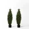 Forever Leaf 36" Cedar Boxwood In Black Pot (2 Pack), Indoor Artificial Plant For Home Decor 2 Forever Leaf 36" Cedar Boxwood In Black Pot (2 Pack), Indoor Artificial Plant For Home Decor -Artificial Plant Store GUEST ea1d144b 93b6 4940 86e9 2b872ac31ce7