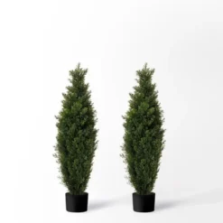 Forever Leaf 36" Cedar Boxwood In Black Pot (2 Pack), Indoor Artificial Plant For Home Decor