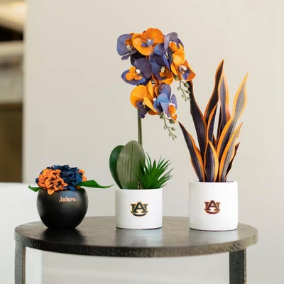 Forever Leaf Auburn Artificial Snake, Orchid And Hydrangea Plants 3-Pack Bundle, Indoor Artificial Plant For Home Decor 3 Forever Leaf Auburn Artificial Snake, Orchid And Hydrangea Plants 3-Pack Bundle, Indoor Artificial Plant For Home Decor