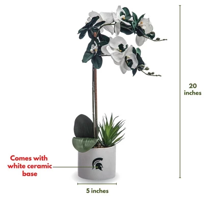 Forever Leaf Michigan State Faux Orchid, Indoor Artificial Plant For Home Decor 6 Forever Leaf Michigan State Faux Orchid, Indoor Artificial Plant For Home Decor - Image 4