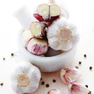 Van Zyverden 3ct Cloves Garlic Purple Creole 5 Van Zyverden 3ct Cloves Garlic Purple Creole - Image 3