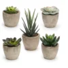 MPM Artificial Succulent Plants Potted, Assorted Decorative Faux Succulent Potted Fake Cactus Cacti Plants With Pots, For Office, Living Room Set Of 5 1 MPM Artificial Succulent Plants Potted, Assorted Decorative Faux Succulent Potted Fake Cactus Cacti Plants With Pots, For Office, Living Room Set Of 5 -Artificial Plant Store GUEST edb8ff6c 5499 432b b7c3 d5c861d69308