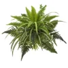 Nearly Natural 22-in Mixed Greens And Fern Artificial Bush Plant (Set Of 3) 1 Nearly Natural 22-in Mixed Greens And Fern Artificial Bush Plant (Set Of 3) -Artificial Plant Store GUEST ee278a3c 13d6 42ab a0a5 1aad3afa7dc5