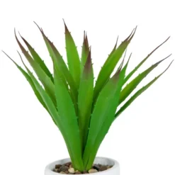 Northlight 13.5" Agave Succulent Artificial Potted Plant - Green/White 10 Northlight 13.5" Agave Succulent Artificial Potted Plant - Green/White -Artificial Plant Store GUEST ee74768c 0af4 4828 a46f f5639d500c47