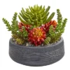 Nearly Natural 12-in Succulent Garden Artificial Plant In Bowl 1 Nearly Natural 12-in Succulent Garden Artificial Plant In Bowl -Artificial Plant Store GUEST ee920bd8 21ea 4ce0 afe2 65146e746587