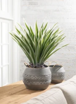 Sullivans Artificial Potted Varigated Agave 26"H Green 7 Sullivans Artificial Potted Varigated Agave 26"H Green -Artificial Plant Store GUEST eef1b541 eb87 4304 991b 3cc22d68c8ee