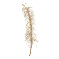 Vickerman Natural Medusa Branch, Dried 13 Vickerman Natural Medusa Branch, Dried -Artificial Plant Store GUEST f83a7120 199f 4f18 95b7 647557336713