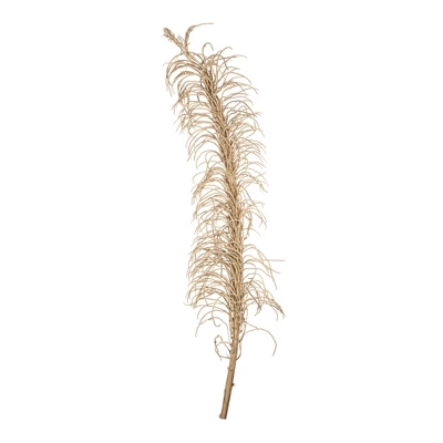 Vickerman Natural Medusa Branch, Dried 8 Vickerman Natural Medusa Branch, Dried - Image 6