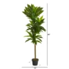Nearly Natural 56-in Dracaena Artificial Plant (Real Touch) 2 Nearly Natural 56-in Dracaena Artificial Plant (Real Touch) -Artificial Plant Store GUEST fb697845 d6d4 48ed b62d 61b74af75cda