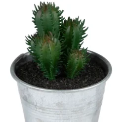 Northlight 3.5" Tropical Cactus In Tin Pot Artificial Potted Plant - Green/Red -Artificial Plant Store GUEST fb89397b 900c 4315 abd4 42f62ce20d1d