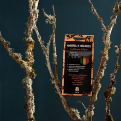 Amborella Organics 8pk Spooky Season Seed-Bearing Lollipops Flower Seeds -Artificial Plant Store GUEST fbc03311 4687 476c bc00 eb31892470da