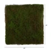 Nearly Natural 20-in X 20-in Artificial Moss Mat 2 Nearly Natural 20-in X 20-in Artificial Moss Mat -Artificial Plant Store GUEST fbe0618f cd4a 443b b7fa f24649214364