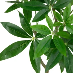 Northlight 4' Artificial Unbraided Potted Green Money Tree 11 Northlight 4' Artificial Unbraided Potted Green Money Tree -Artificial Plant Store GUEST fec5ce88 9406 4d1b a61d 799b0ec18f35