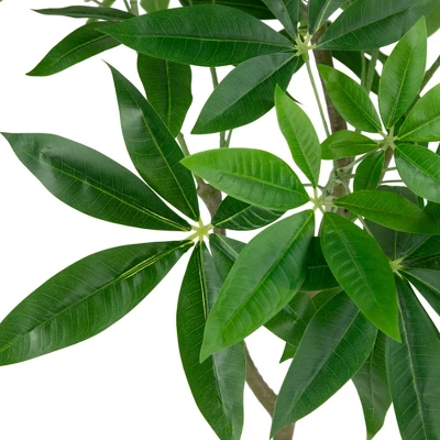 Northlight 4' Artificial Unbraided Potted Green Money Tree 6 Northlight 4' Artificial Unbraided Potted Green Money Tree - Image 4