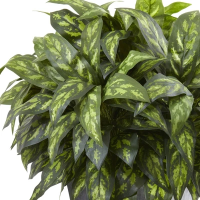 Silver King Plant With Slate Decorative Planter - Nearly Natural 3 Silver King Plant With Slate Decorative Planter - Nearly Natural